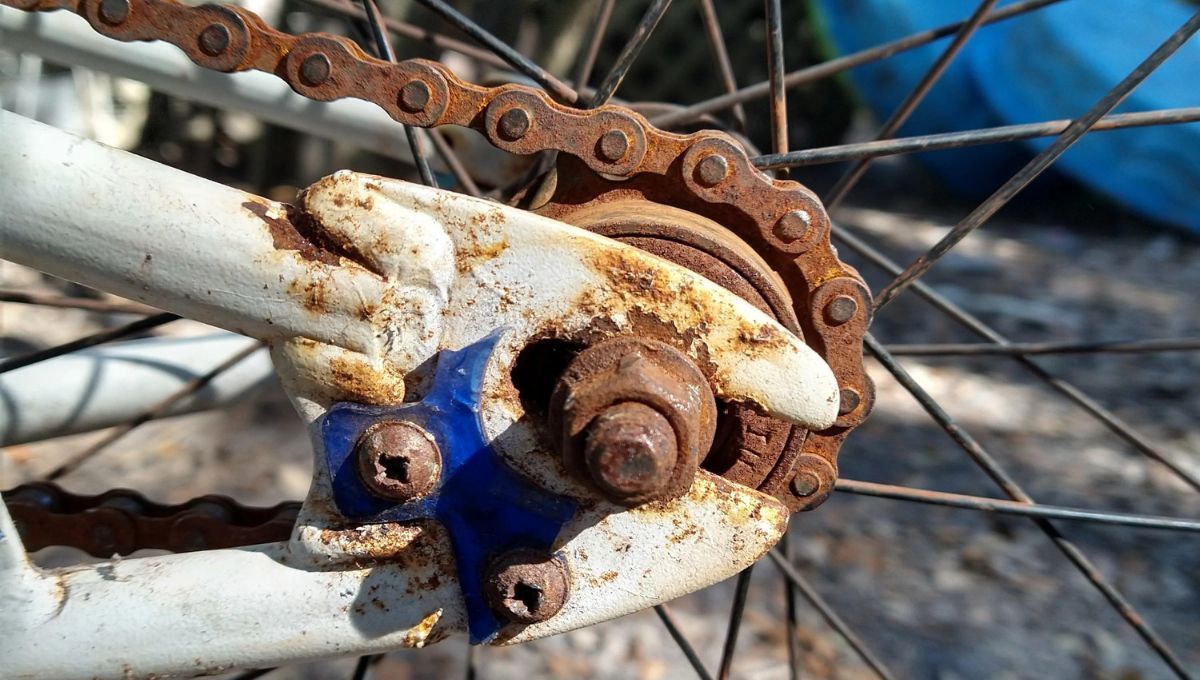 Recicla la vieja cadena de tu bicicleta y crea esta hermosa y fácil idea decorativa