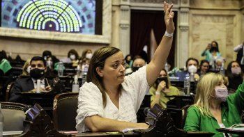 Los principales puntos del proyecto de aborto legal