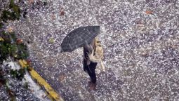 Cuidate de la caida de granizo