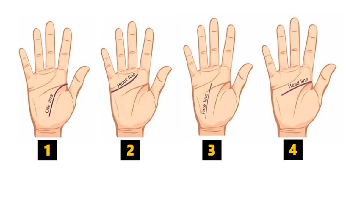 Descubre tu personalidad de manera divertida con este test