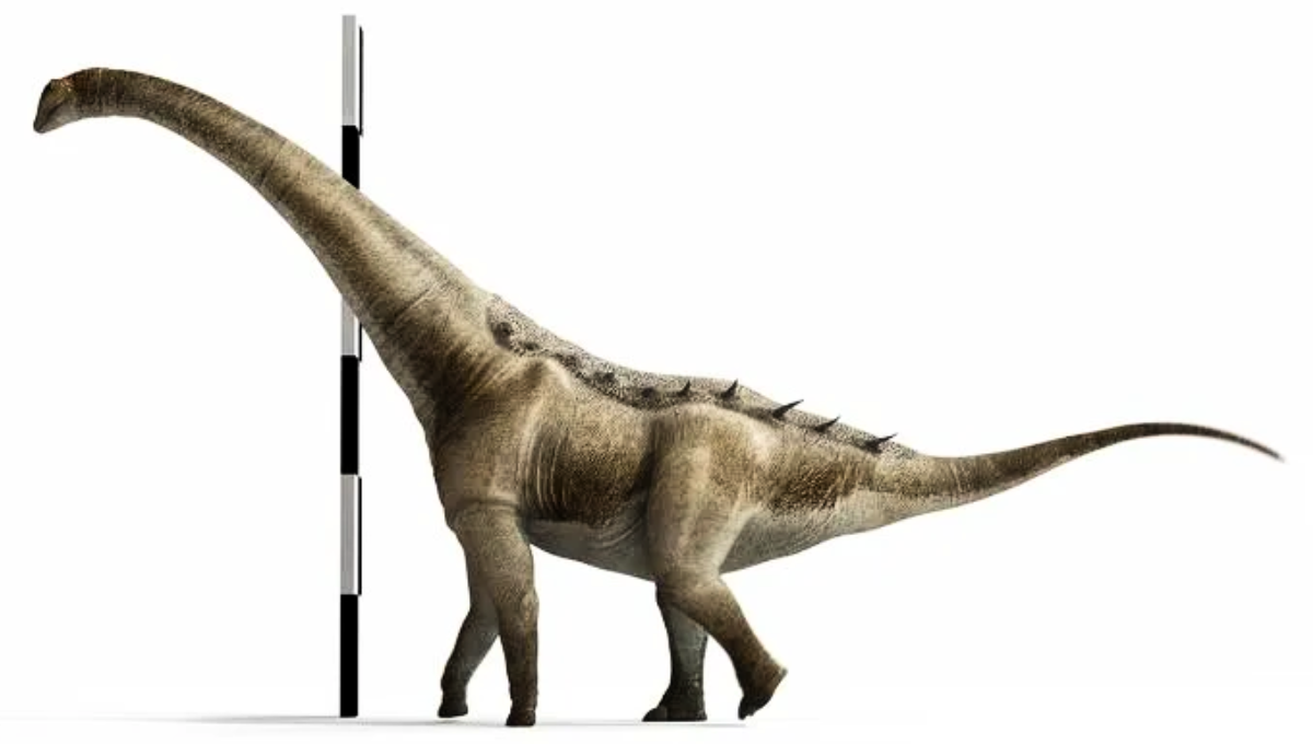 El descubrimiento de un nuevo dinosaurio en España: vivió hace 75 millones de años El descubrimiento de un nuevo dinosaurio en España: vivió hace 75 millones de años