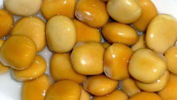 Receta de lupines en salmuera