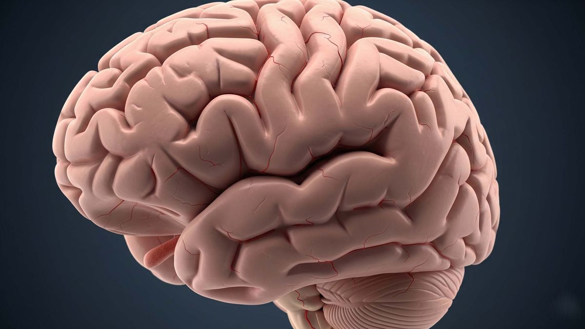 Desafío matemático para ejercitar el cerebro. Desafío matemático para ejercitar el cerebro.