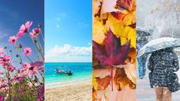 Imagen ilustrativa de las estaciones: primavera, verano, otoño e invierno. Redacción Diario Uno