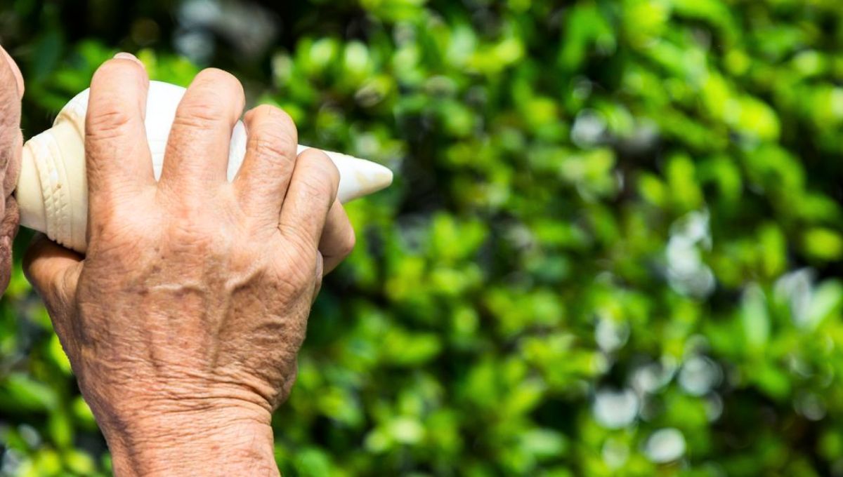 Un trastorno del sueño conocido puede ser dejado atrás a través de esta práctica
