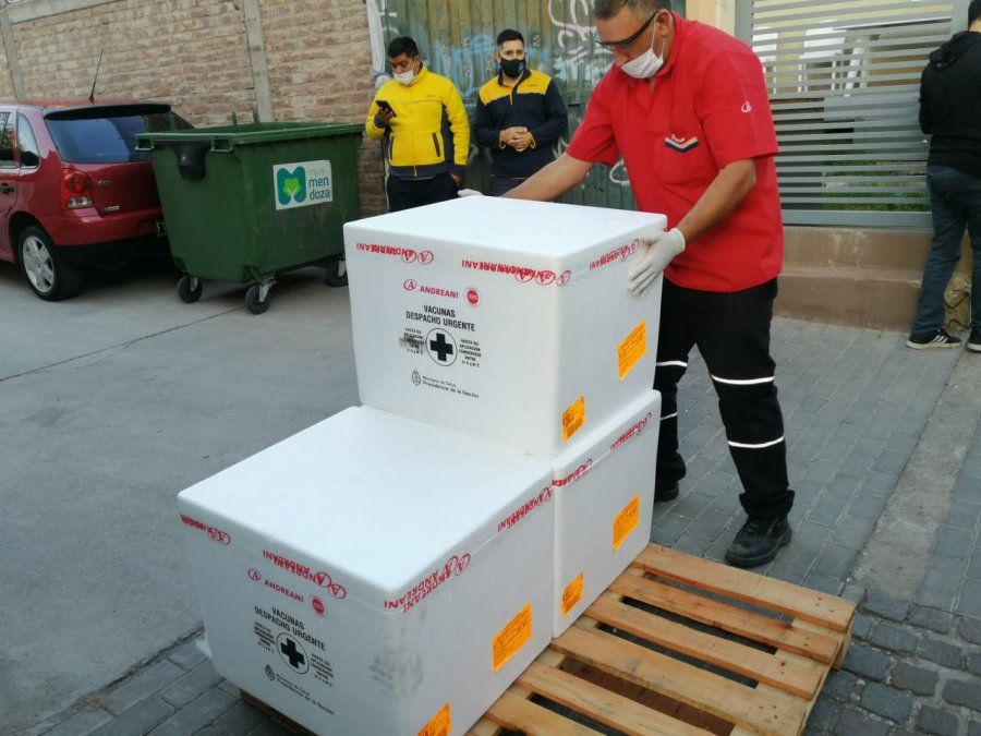 Este lunes llegaron a Mendoza 39.600 dosis de vacunas chinas que se destinarán a continuar con el esquema de vacunación docente.