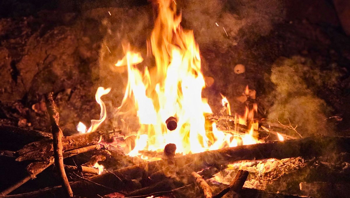 El hombre no consiguió hacer fuego hasta hace unos 350.000 años. El hombre no consiguió hacer fuego hasta hace unos 350.000 años.