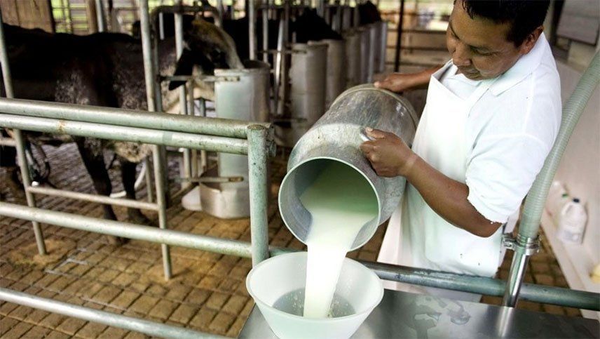Advierten por posible desabastecimiento de leche y derivados por una huelga