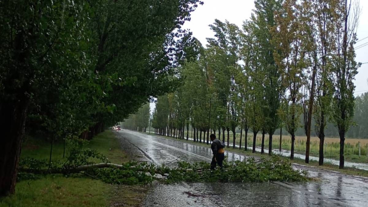 La tormenta del miércoles dejó importantes daños en el Valle de Uco.