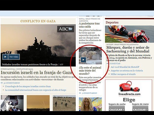 Un portal español publicó una nota sobre el oso Arturo titulada: ¿Es este el animal más triste del mundo?