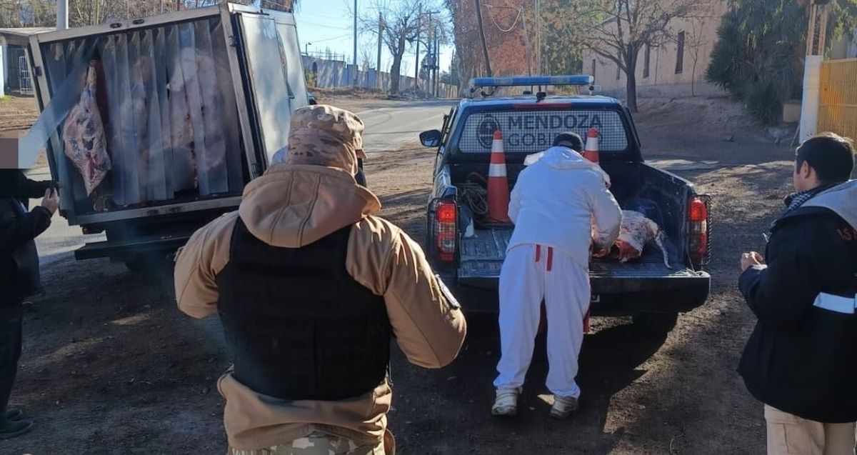 Decomisaron 240 kilos de carne no apta para consumo durante un operativo. 