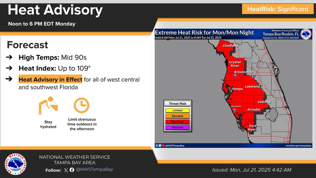 Estas son las áreas más afectadas Estas son las áreas más afectadas