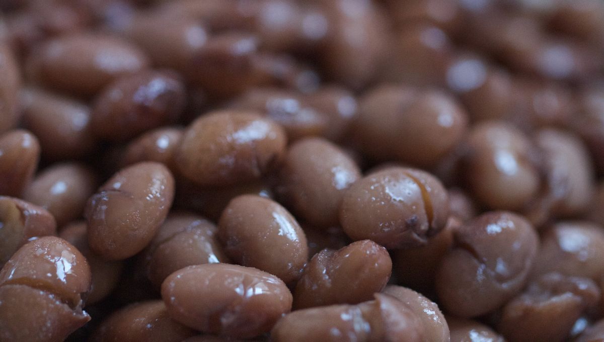 Los porotos están repletos de micronutrientes como el hierro. Los porotos están repletos de micronutrientes como el hierro.