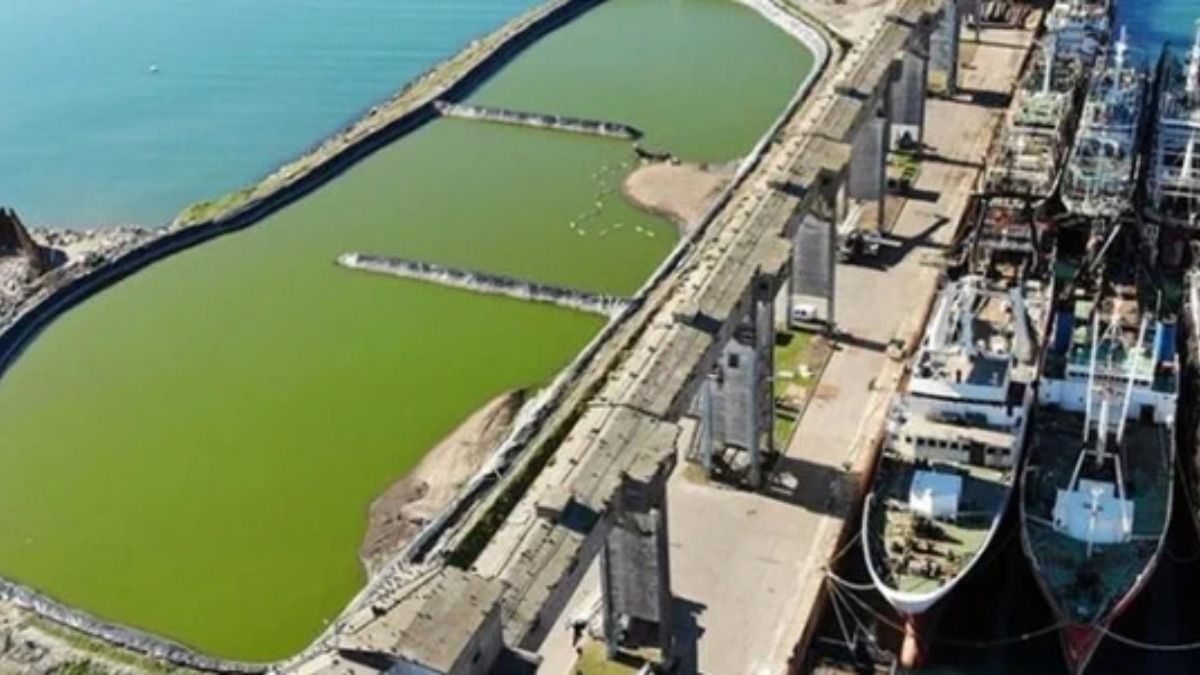 (Foto: Gentileza Roberto Maturana) (Foto: Gentileza Roberto Maturana)