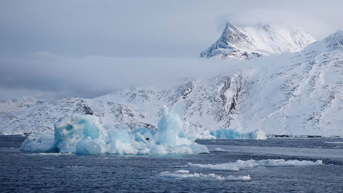El estudio dejó en claro un efecto nefasto del cambio climático. El estudio dejó en claro un efecto nefasto del cambio climático.