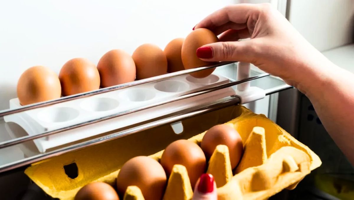 Los huevos no deben ser lavados antes de introducirse en la heladera