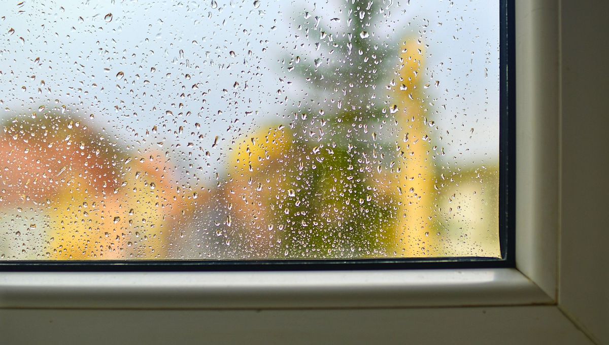 Existen varias razones por las que una ventana puede tener fallas. Existen varias razones por las que una ventana puede tener fallas. 