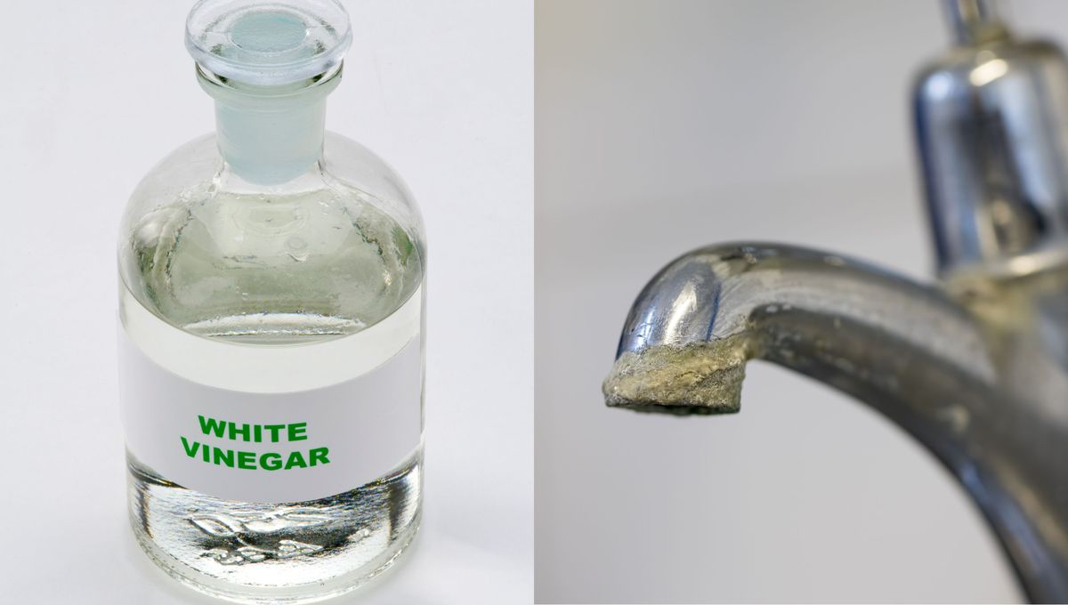 El vinagre remueve la suciedad gracias a su acidez y composición. El vinagre remueve la suciedad gracias a su acidez y composición. 