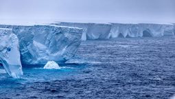 El iceberg más grande del mundo navega a la deriva: ¿qué puede pasar?