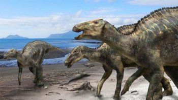 Identificaron una nueva especie de dinosaurio