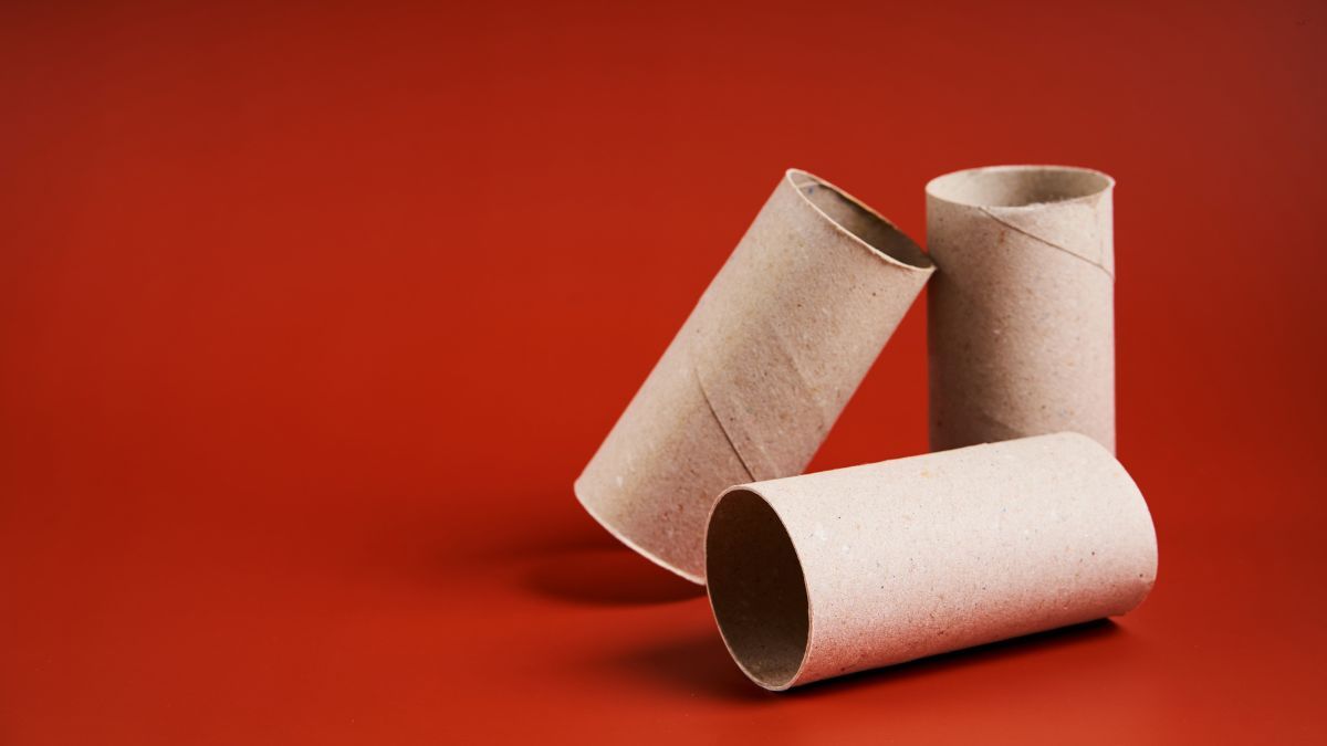 La rata ingresará al tubo de cartón y posteriormente caerá dentro de un recipiente. La rata ingresará al tubo de cartón y posteriormente caerá dentro de un recipiente.