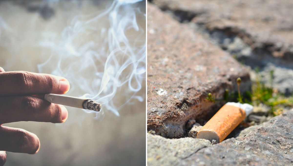 Gran parte de la población argentina se considera fumadora activa, y al menos la mitad, tira las colillas de cigarrillo en la calle Gran parte de la población argentina se considera fumadora activa, y al menos la mitad, tira las colillas de cigarrillo en la calle