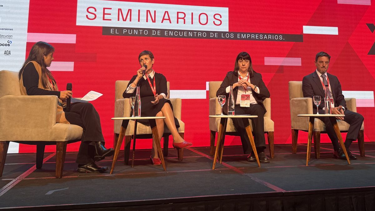 Jimena Latorre explicó en un seminario realizado en Buenos Aires la política minera y energética de Mendoza.
