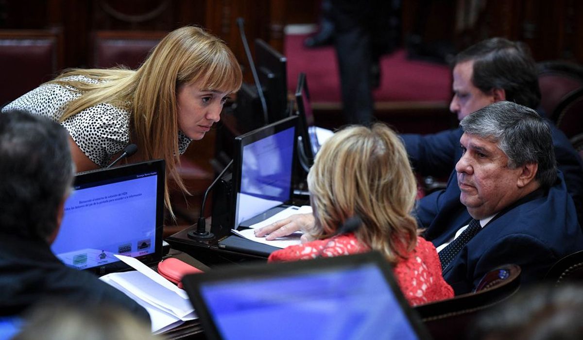 Anabel Fernández Sagasti