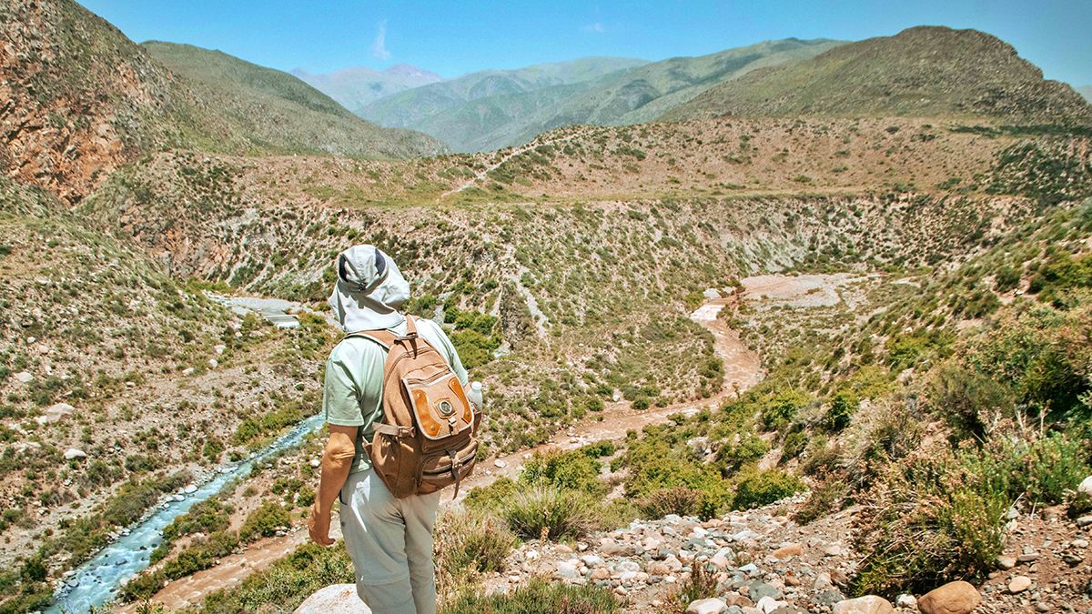 El calendario de feriados 2022 indica que el próximo día festivo en Argentina es el 9 de julio.