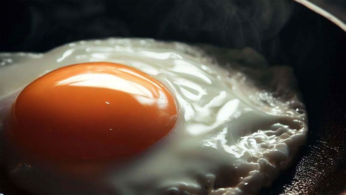 El huevo aporta una enorme cantidad de nutrientes a nuestra dieta diaria.
