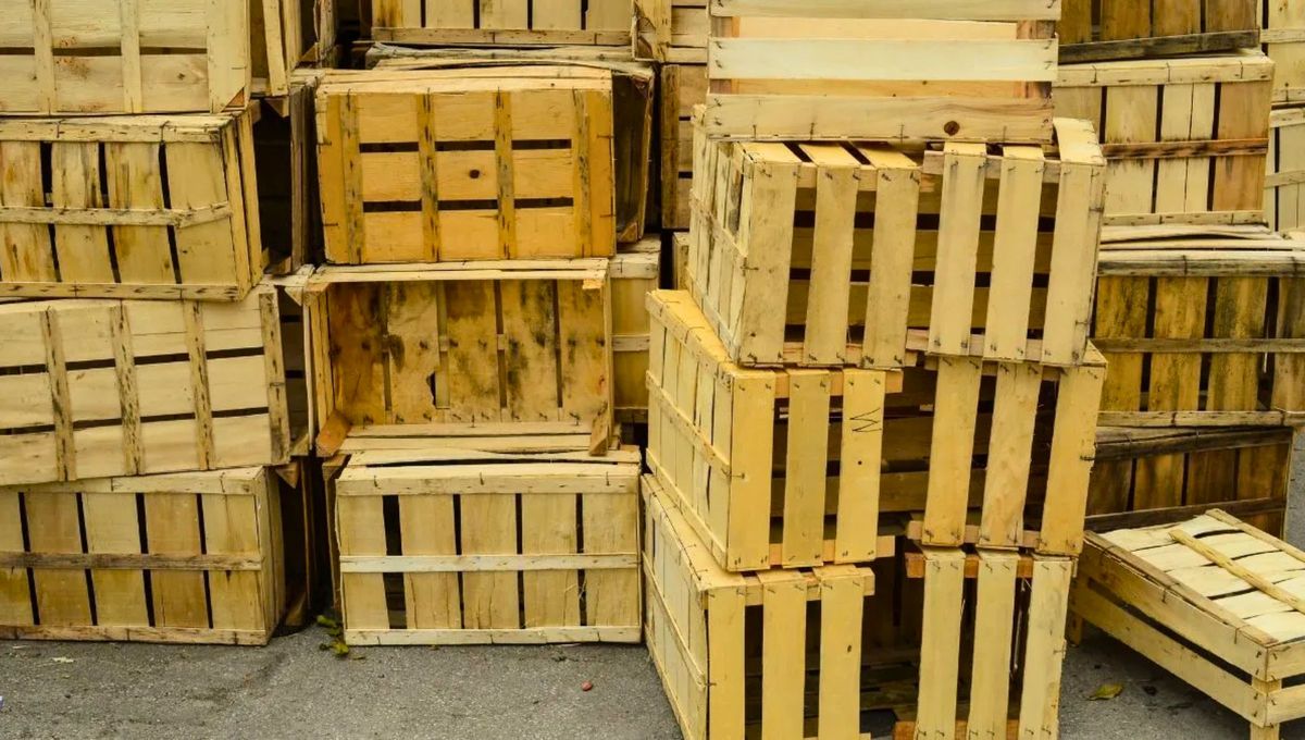 Reciclaje: el afortunado que tenga un cajón de verdura podrá transformarlos en un hermoso tesoro Reciclaje: el afortunado que tenga un cajón de verdura podrá transformarlos en un hermoso tesoro