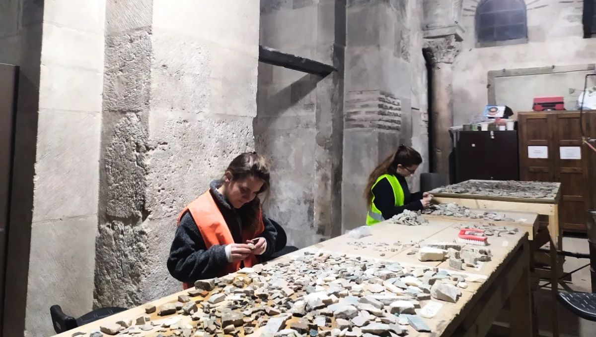 Además de comprobar la existencia del jardín, el equipo identificó a otros objetos