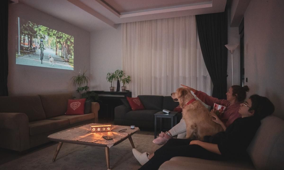 El estudio científico que revela qué les gusta ver a los perros en la televisión El estudio científico que revela qué les gusta ver a los perros en la televisión