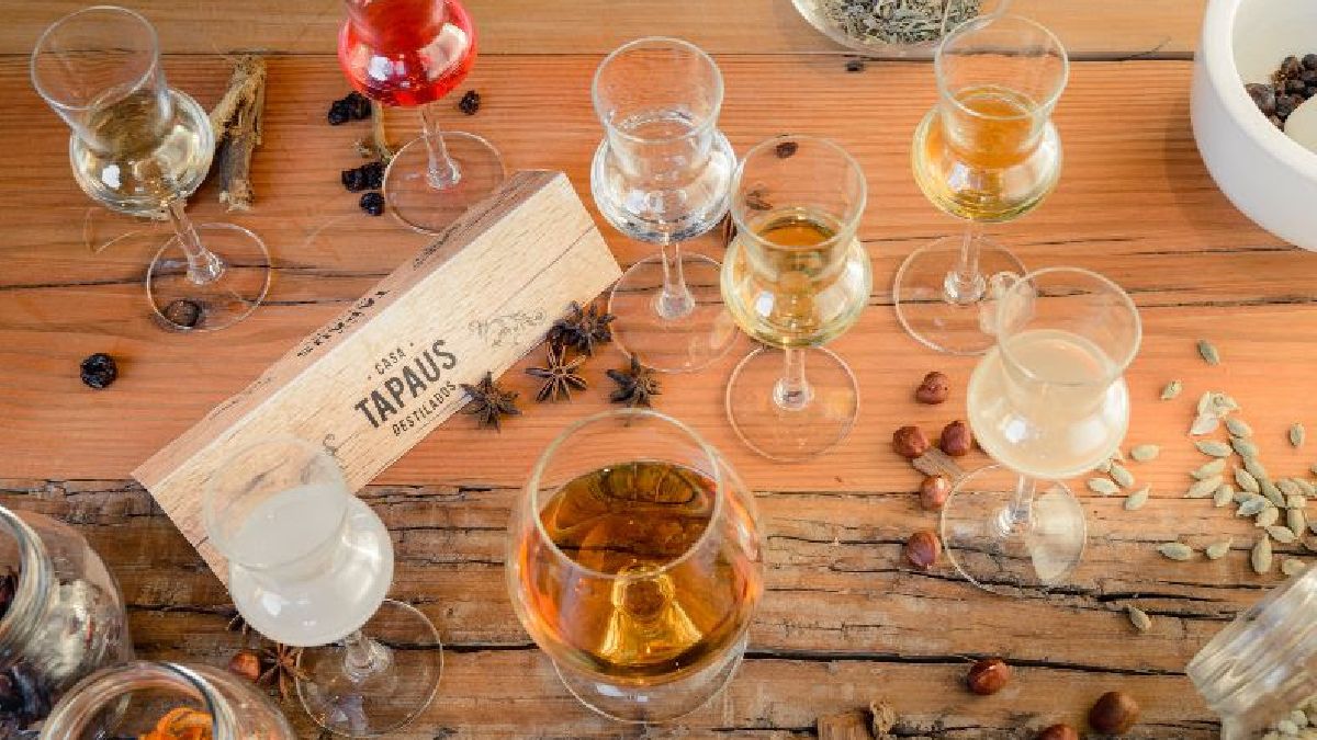 Casa Tapaus de Familia Millán abrió sus puertas en 2017, en una antigua destilería recuperada de Perdriel, en Luján de Cuyo.