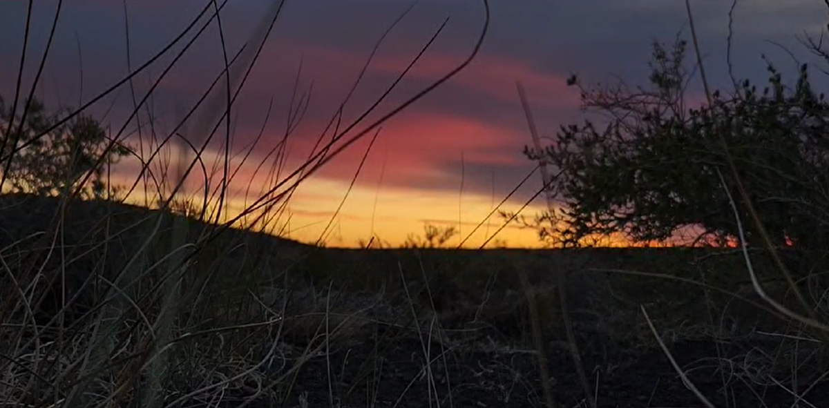 Amanecer en la Payunia Amanecer en la Payunia