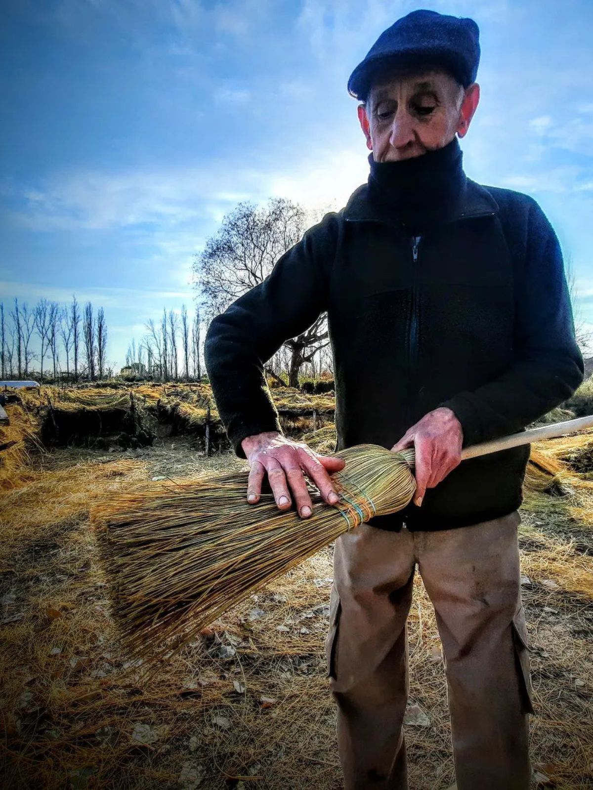 Actualmente, una de las principales utilidades del junquillo es para la fabricación de escobas. Actualmente, una de las principales utilidades del junquillo es para la fabricación de escobas.