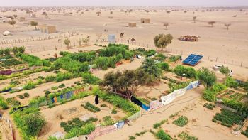 China desarrolló un método para hacer crecer árboles en el desierto y ahora lo lleva al Sahara China desarrolló un método para hacer crecer árboles en el desierto y ahora lo lleva al Sahara