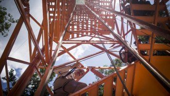 Estudian el Amazonas con una torre de 325m
