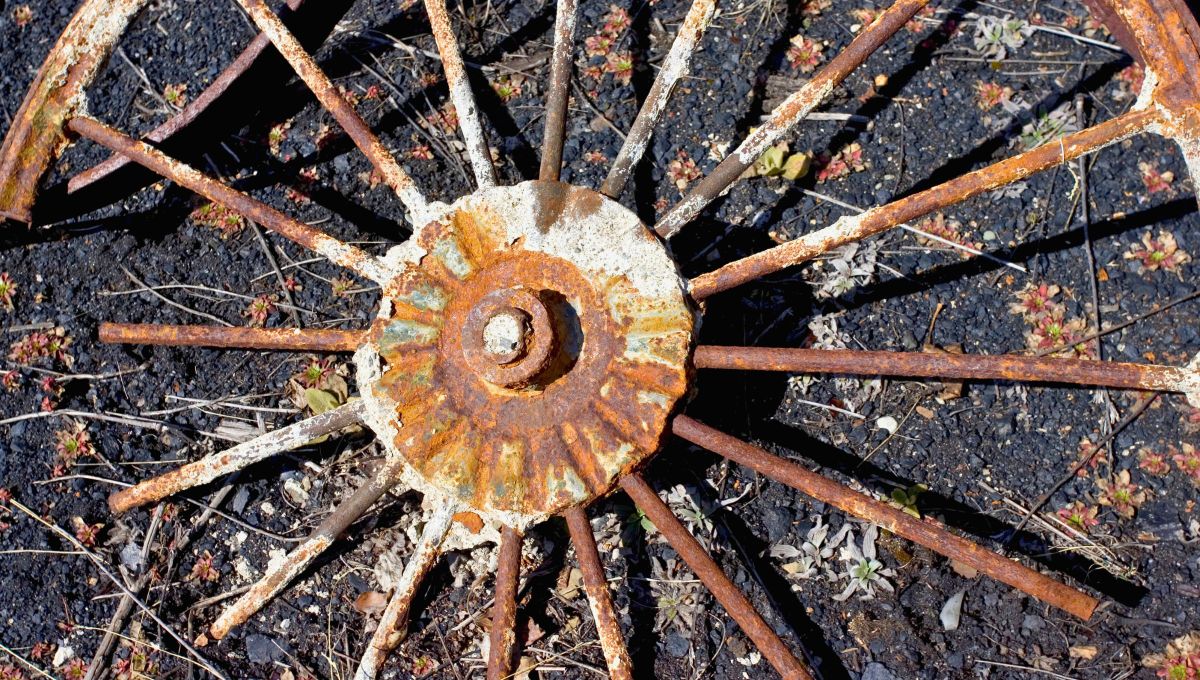 Por qué hay que tirar objetos oxidados en la tierra del jardín y para qué sirve