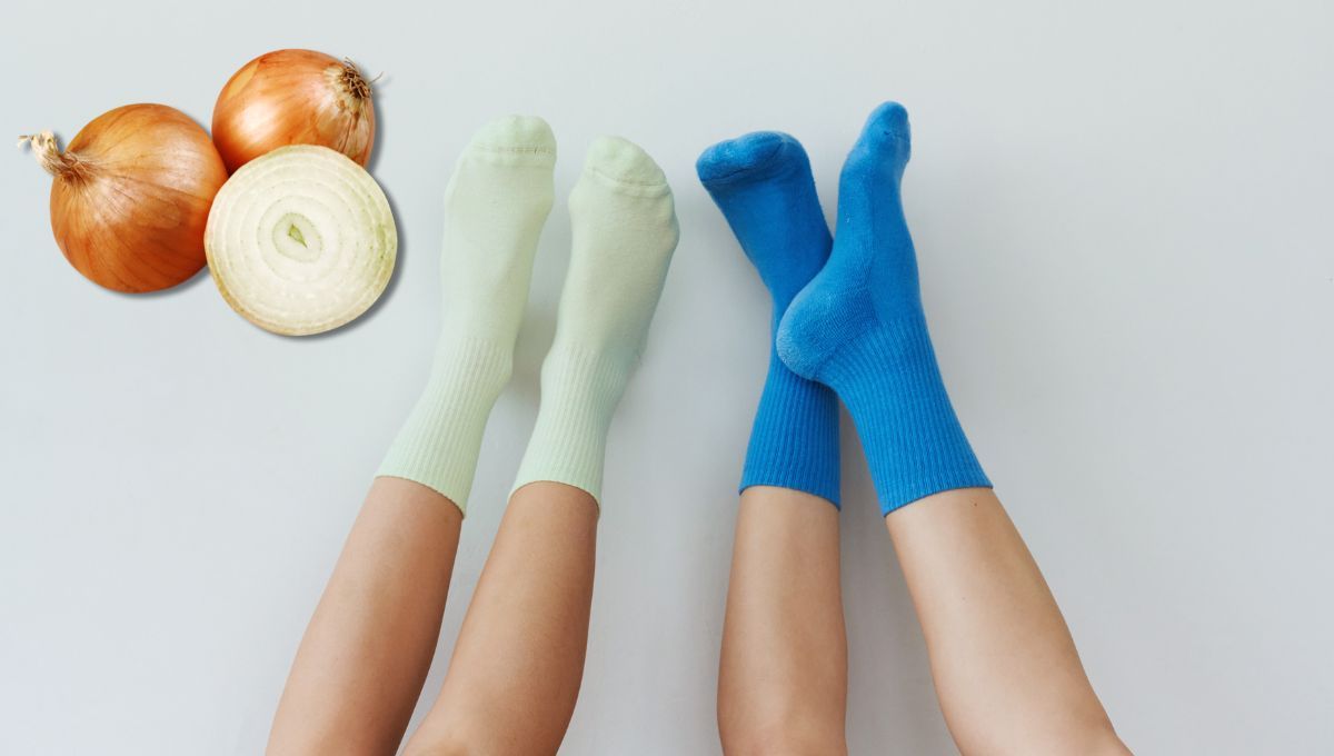 La cebolla es un antibiótico natural que brinda muchos beneficios a la salud