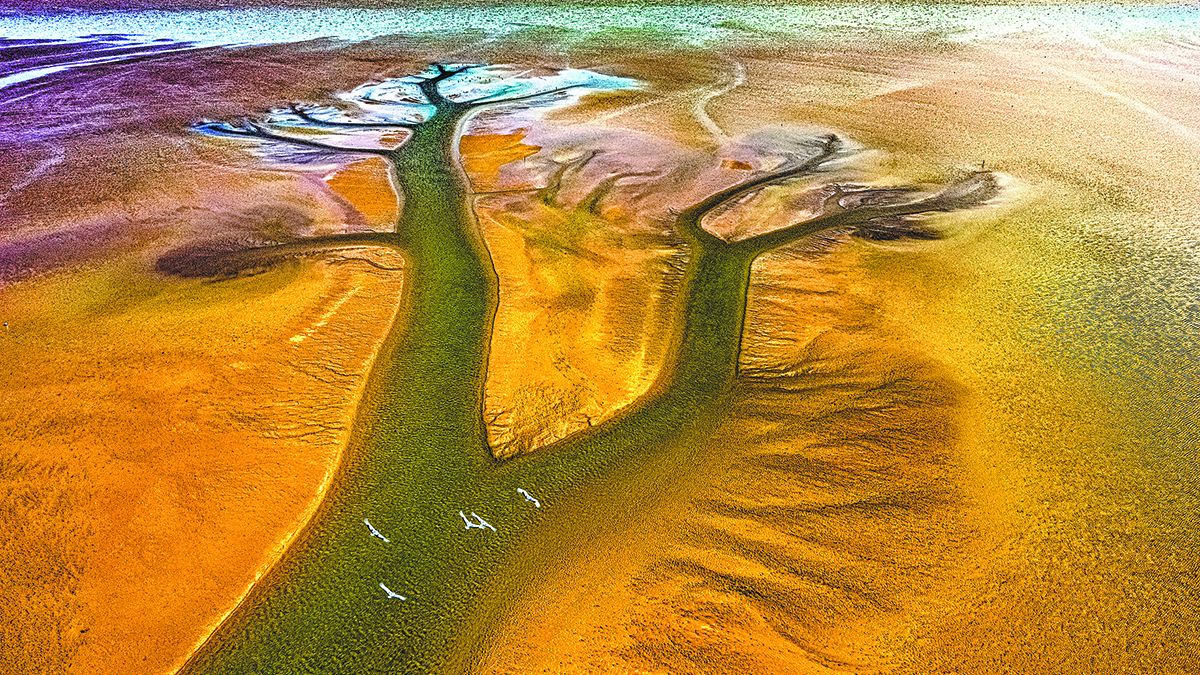 La Reserva Natural Nacional del Delta del Río Amarillo en Dongying
