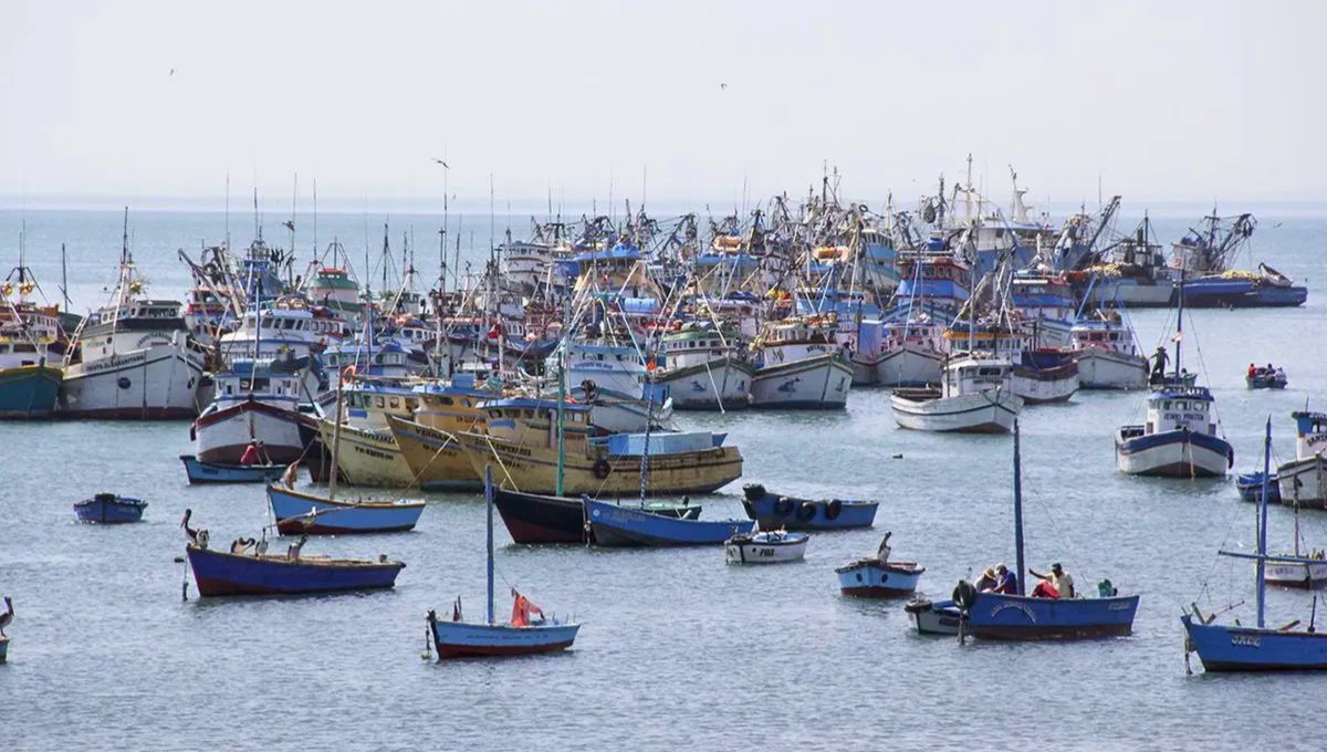 El país de América del Sur con la flota pesquera más grande lidera la producción de pescado en el mundo