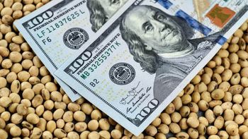 Estados Unidos vuelve al centro del comercio de China con una compra histórica de soja Estados Unidos vuelve al centro del comercio de China con una compra histórica de soja