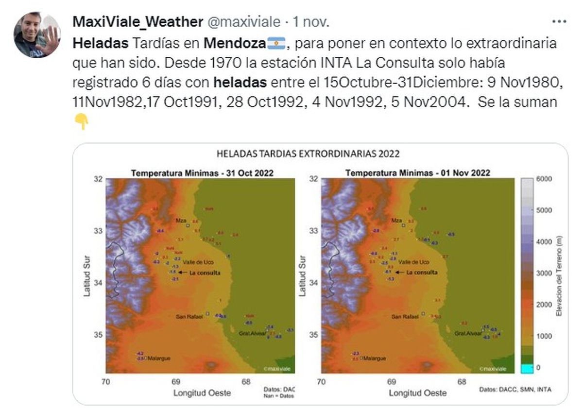 El análisis que compartió en las redes el investigador Maximiliano Viale.