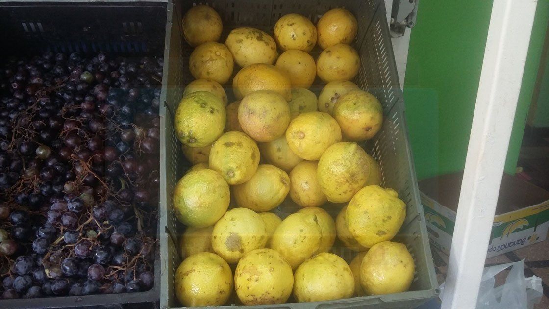 Un serio conflicto entre el Senasa y los distribuidores de frutas, en este caso cítricos, ha generado la falta de estos productos en Mendoza y la Patagonia.