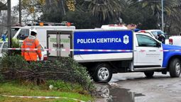 La mujer fue asesinada a golpes y de una puñalada, en La Plata, mientras se encontraba al cuidado de su nieta