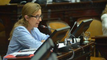 Para Claudia Najul, Ginés debe dar respuestas en el Congreso