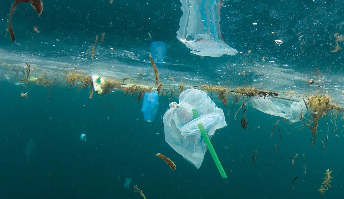 As&iacute; contaminan estos pl&aacute;sticos.