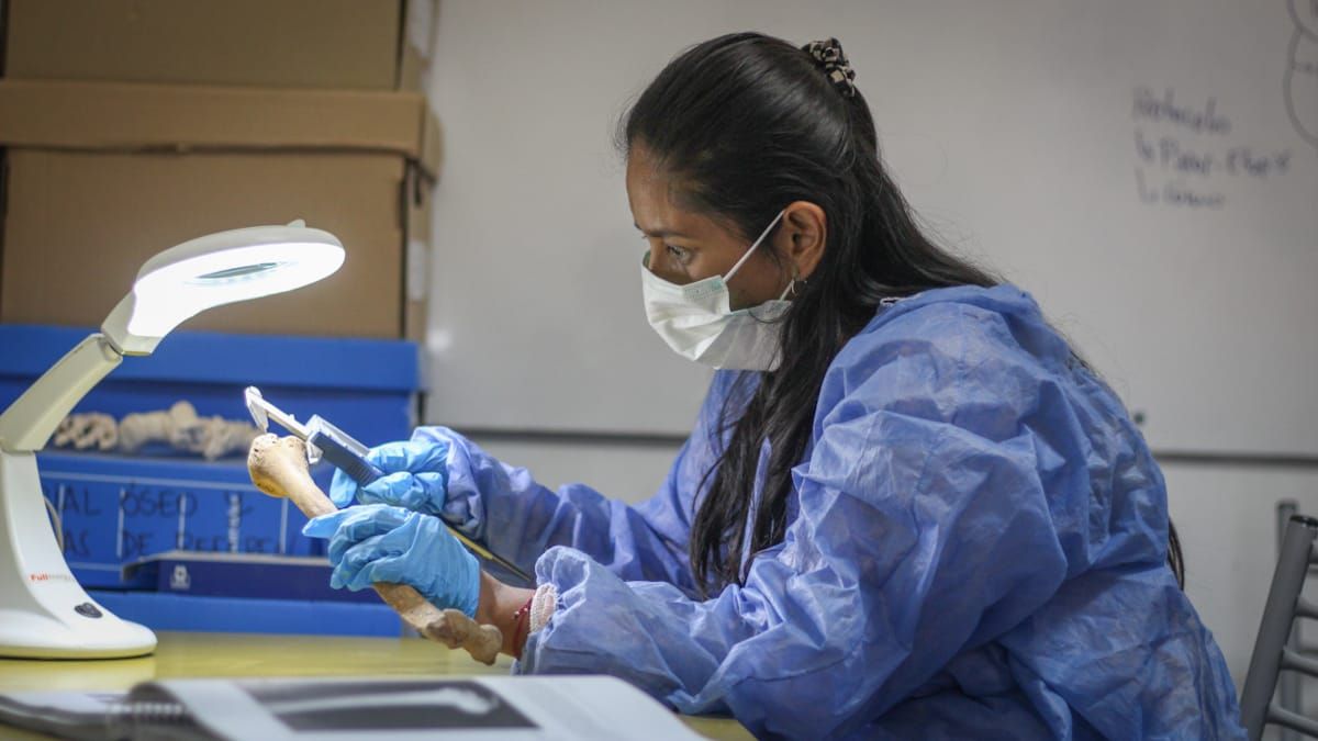 La investigación que se realiza en base a los restos fósiles humanos, se extiende más allá de determinar sexo y edad, también se pueden determinar otras cuestiones importantes, como la dieta que llevaba, o si realizaba algún tipo de actividad en particular La investigación que se realiza en base a los restos fósiles humanos, se extiende más allá de determinar sexo y edad, también se pueden determinar otras cuestiones importantes, como la dieta que llevaba, o si realizaba algún tipo de actividad en particular