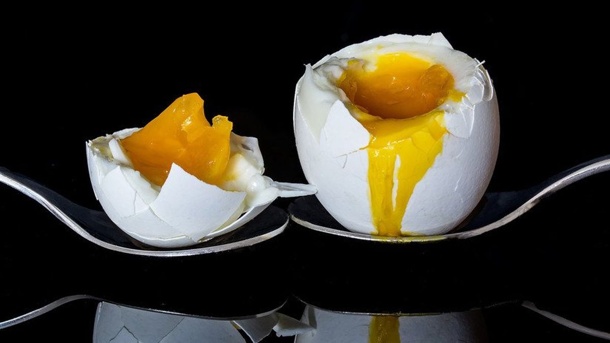 Por qué no hay que poner un huevo duro en el microondas
